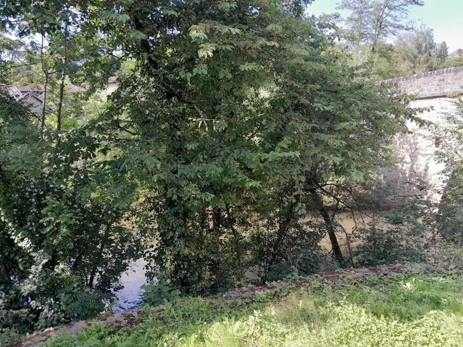 Appartement Privatif Tout Equipe En Bord De Riviere 菲雅克 外观 照片